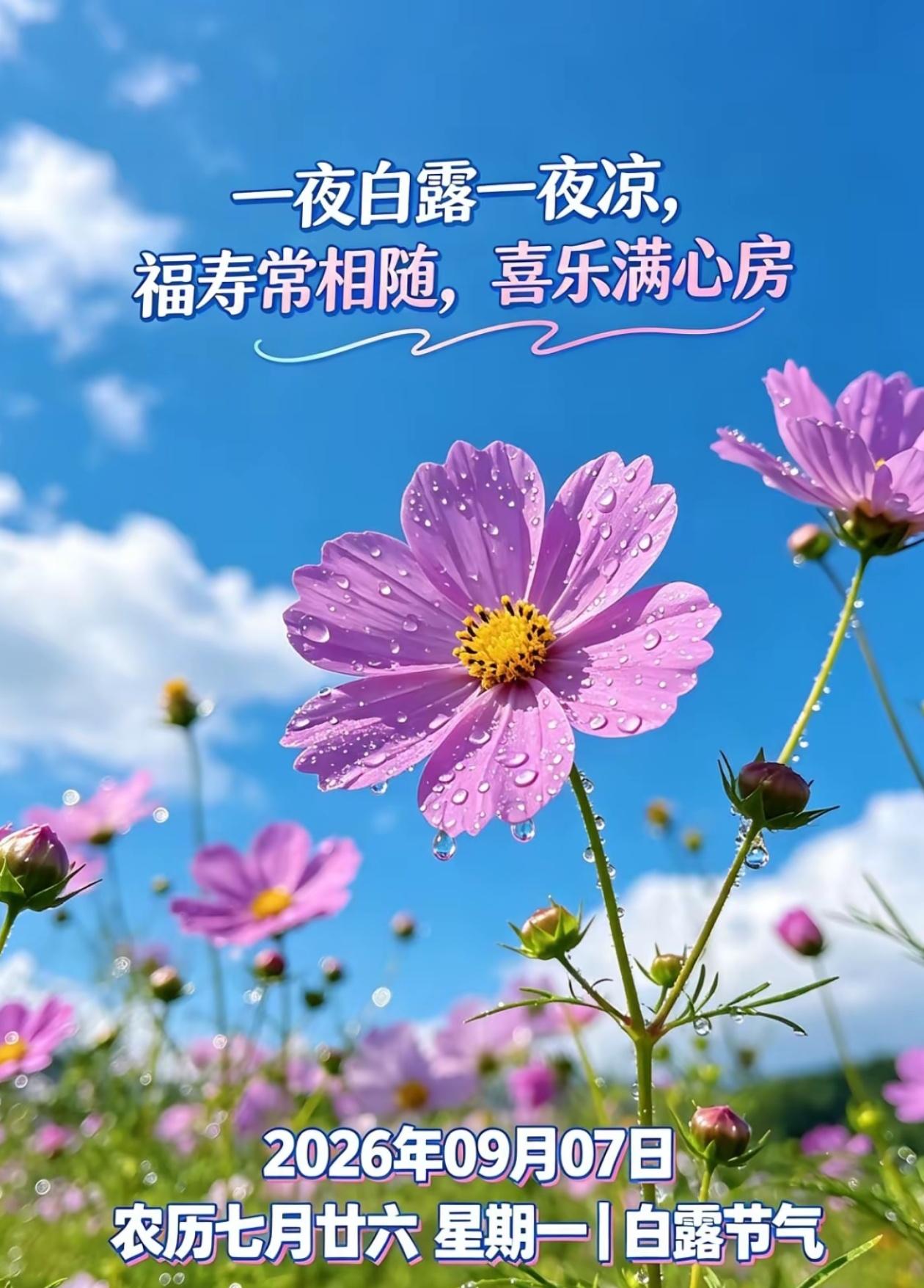 [福]2026./9月7日，朝露泽万物，时光酿美好[福]

💦🌅初露染湿晨华