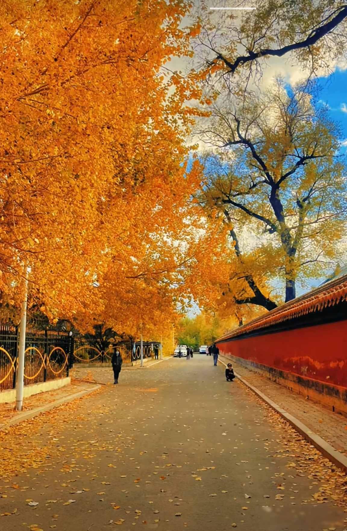 普通日子，欲望太满，
我们为何不满足？

今天看到一条很多人转发的对话，
说的是