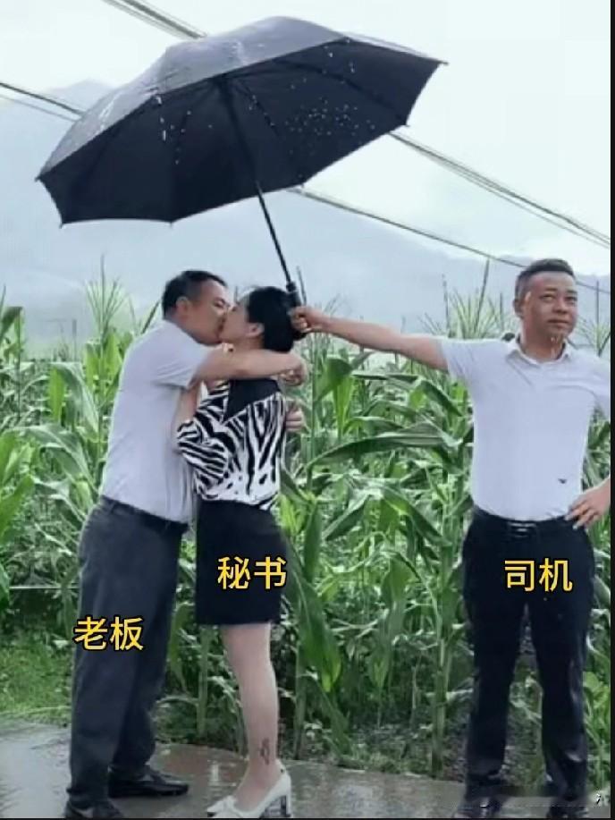 贴心司机的“神助攻”

哪个老板能不喜欢这样的司机呢？某次野外参观时，老天爷突然