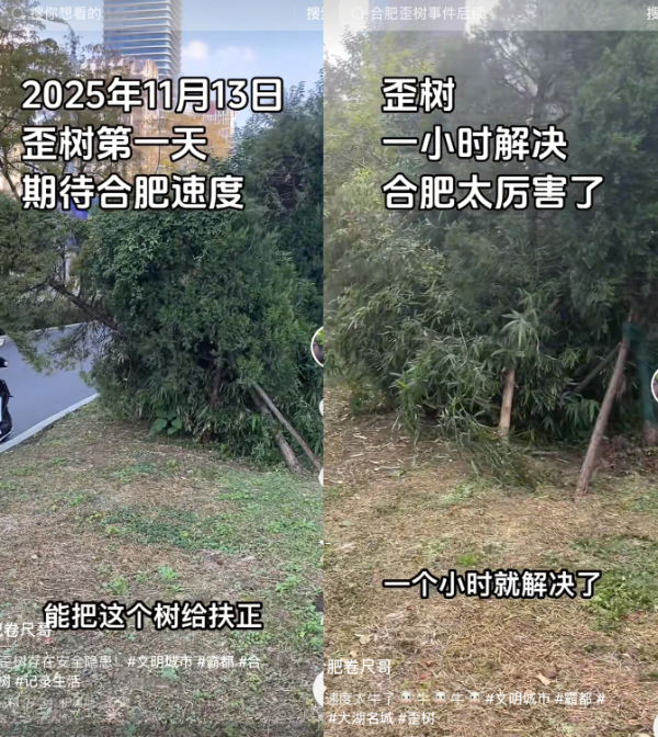 【】一把小小的卷尺，量的不仅是坑洼的深度、设施的瑕疵，更丈量着一座城市的治理精度