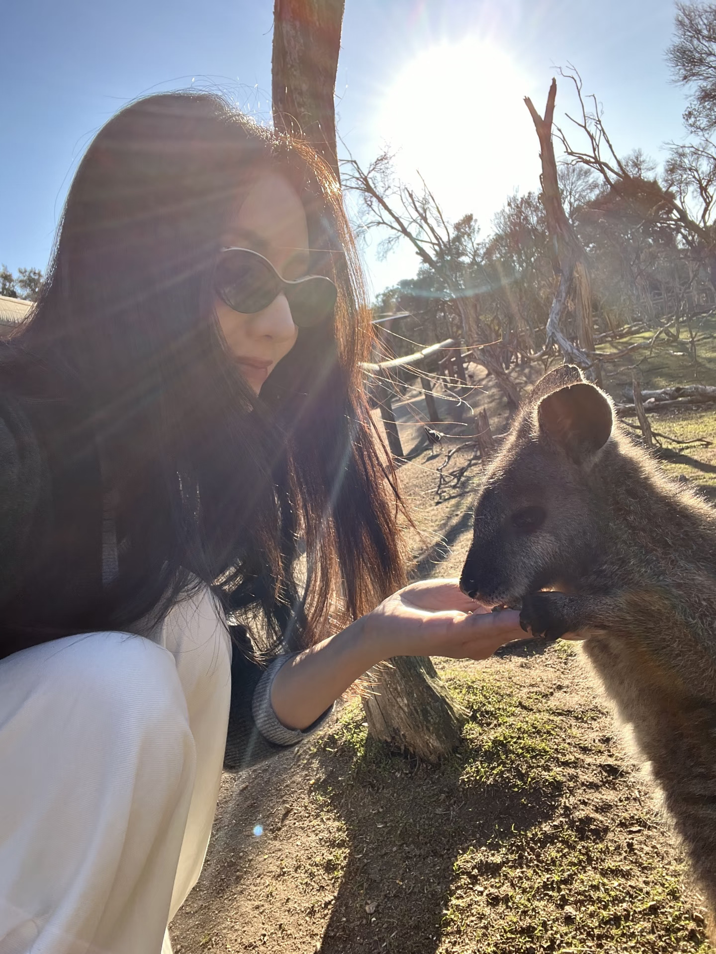 Zoo🦘🐨