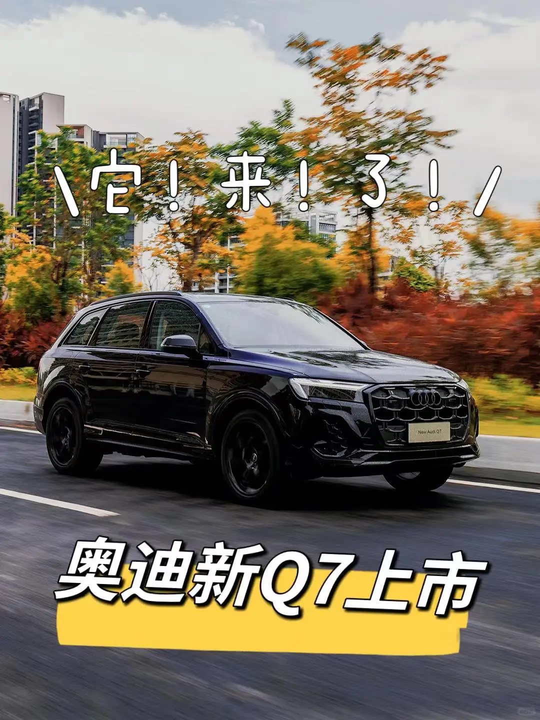 新奥迪Q7上市！接预定！