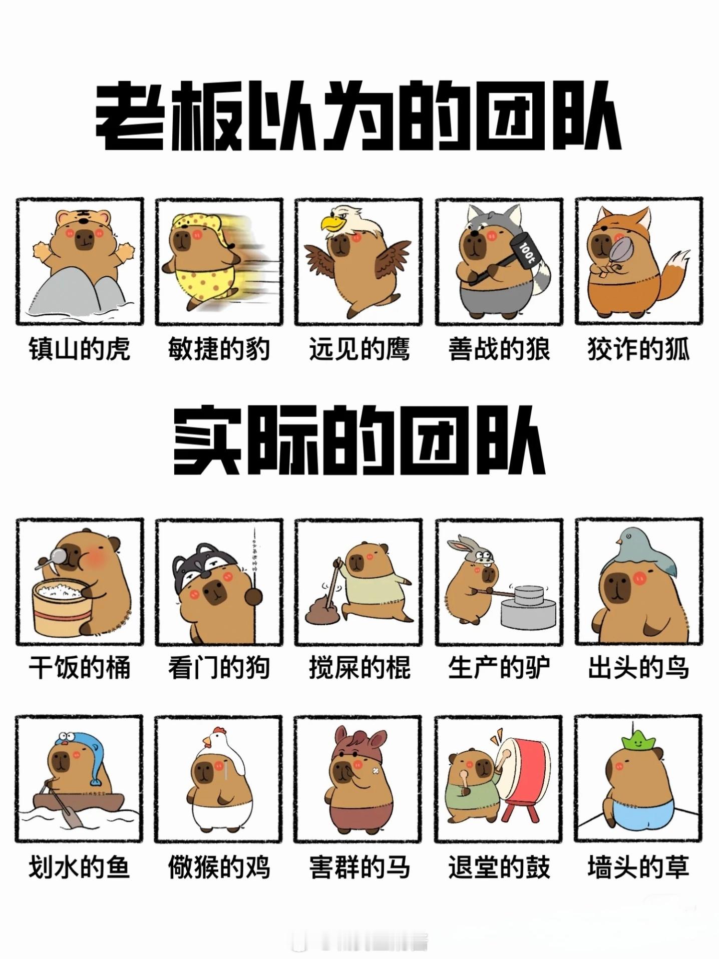 老板以为的团队 Vs 实际的团队！请对号入座！[笑cry] ​​​