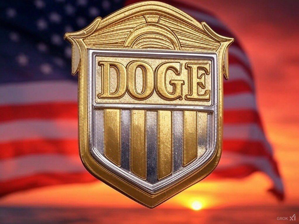 美国国防部公布了最初的DOGE调查结果，发现8000万美元的浪费开支。doge 
