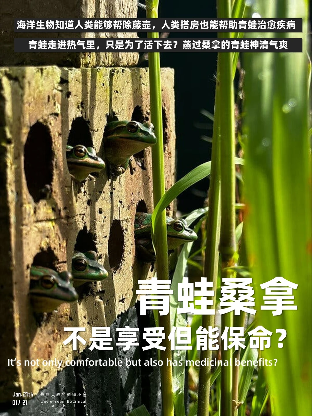 青蛙走进热气里，只是为了活下去