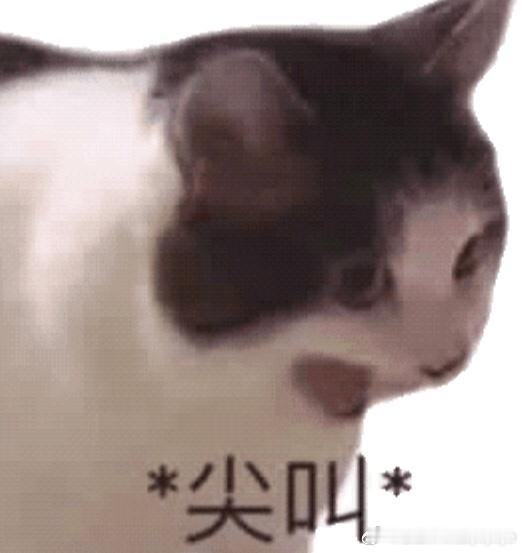 恐怖，好久没穿春秋制服，今天一穿感觉紧了