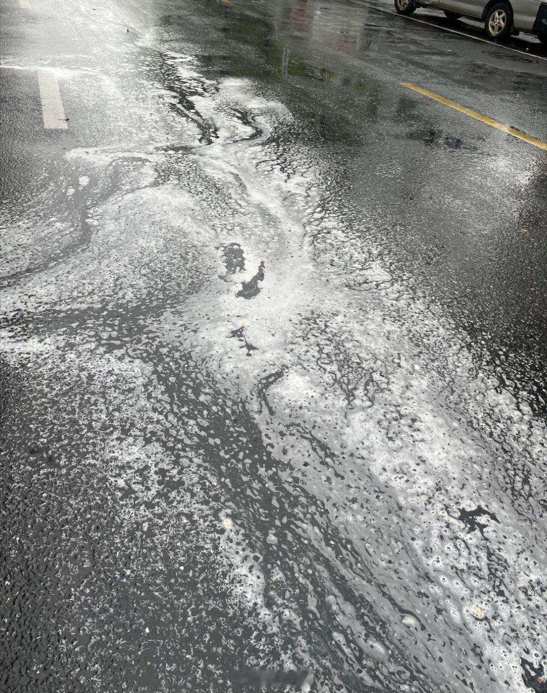 无患子果被风吹落，下雨天被车辆碾过，然后就和春雨一起洗地啦！鲁迅小时候对皂角树念