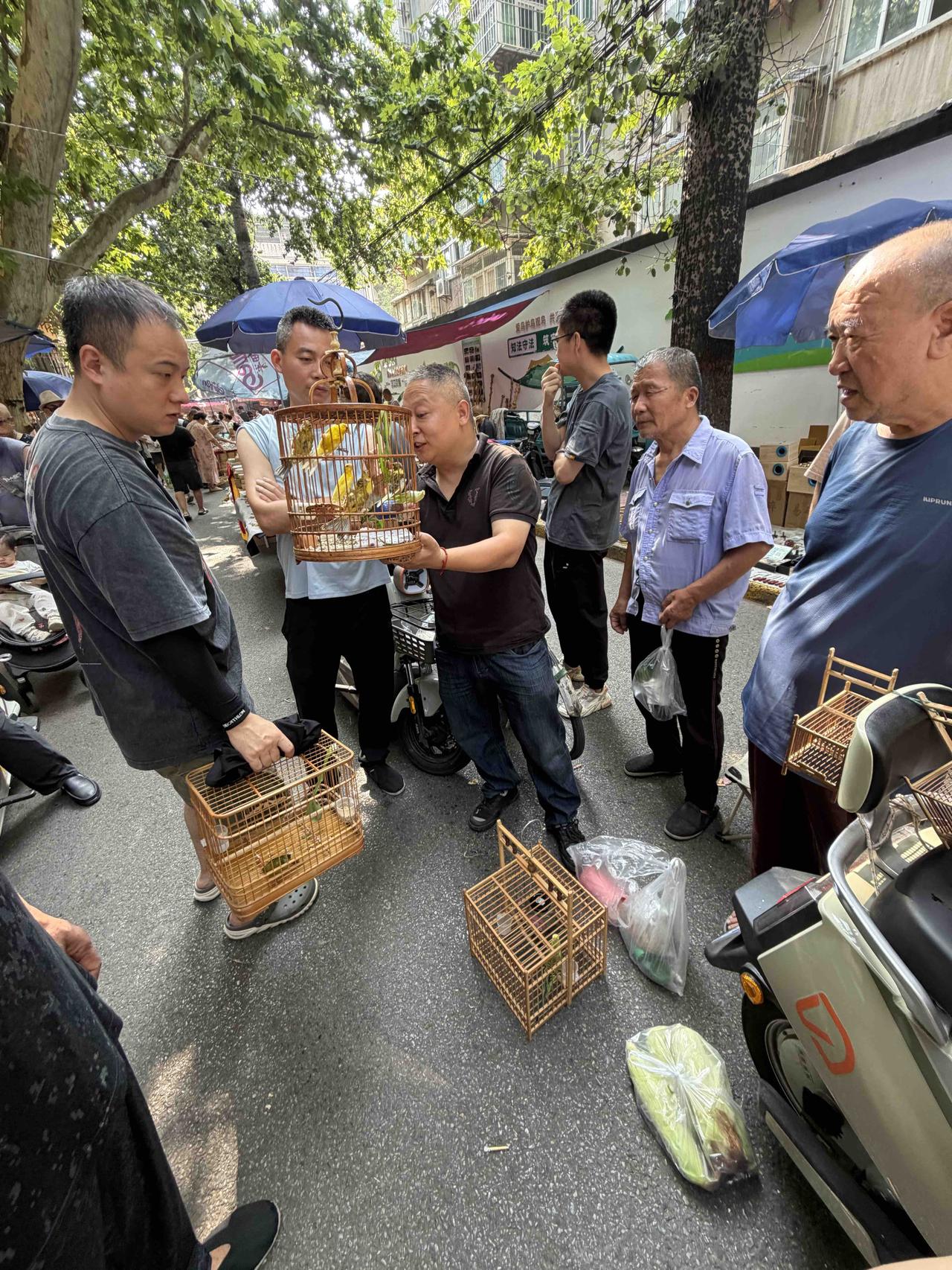 前天上午，我逛西安档子，走到西仓西巷时，看到路中间，围着一堆人，就走了过去。
我
