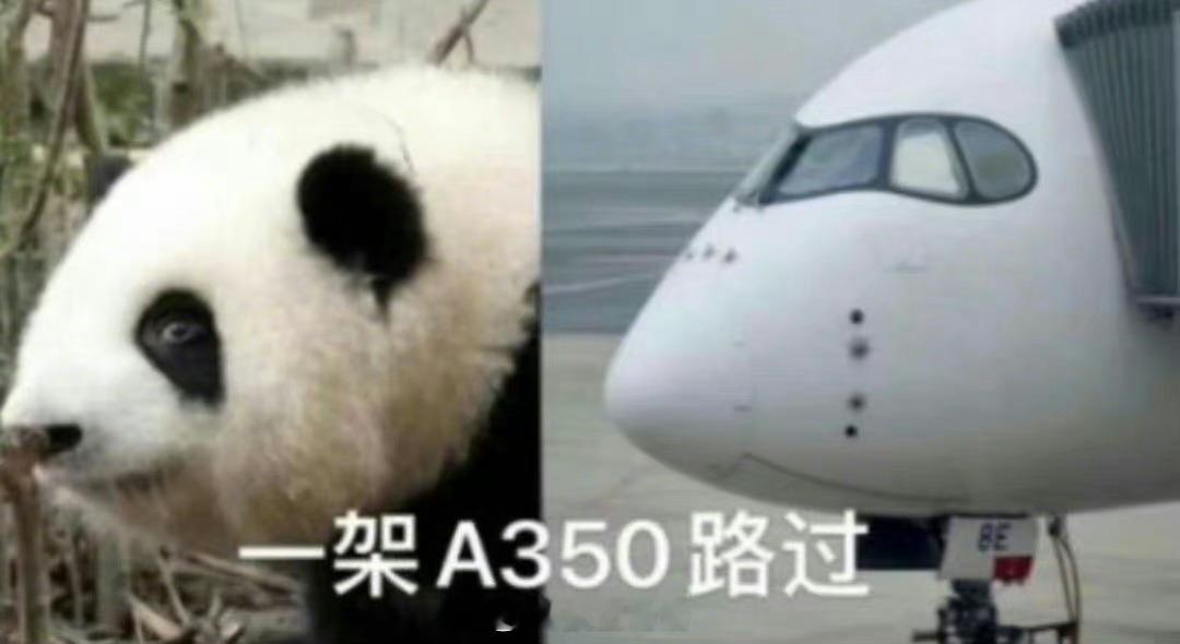 成都本土产“A350”今天4岁咯[doge] ​​​