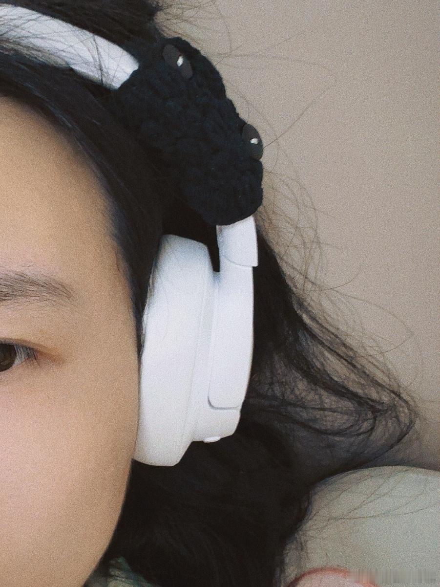 喜欢这个耳机 戴上就跟聋了一样 