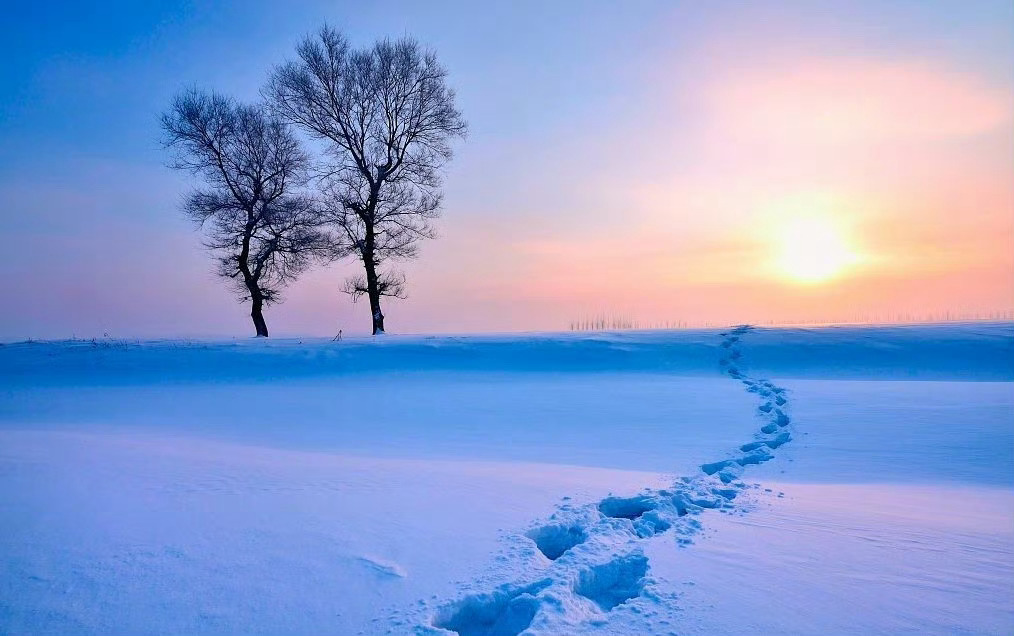 改命，就两件事：要么用新的行动去改变大脑神经回路的连接；要么就语言去改变自己对于