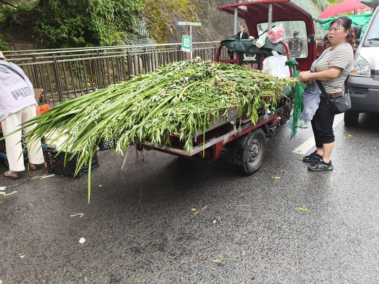 贵州大方念么过端午节
    我蒙氏家族被秦始皇追杀，坦了二十四座铁故！剩下的很