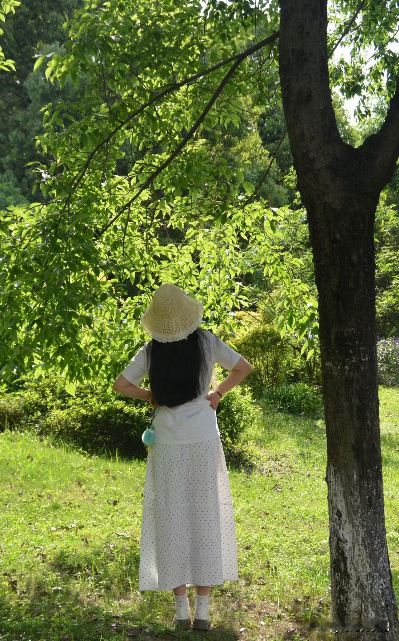 农谚解析：
闻道“三月怕初四”，此“怕”非惧，乃敬畏之心。
敬畏天地之威，敬畏自