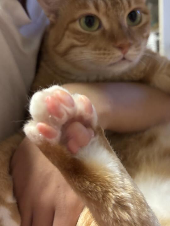 今日要闻