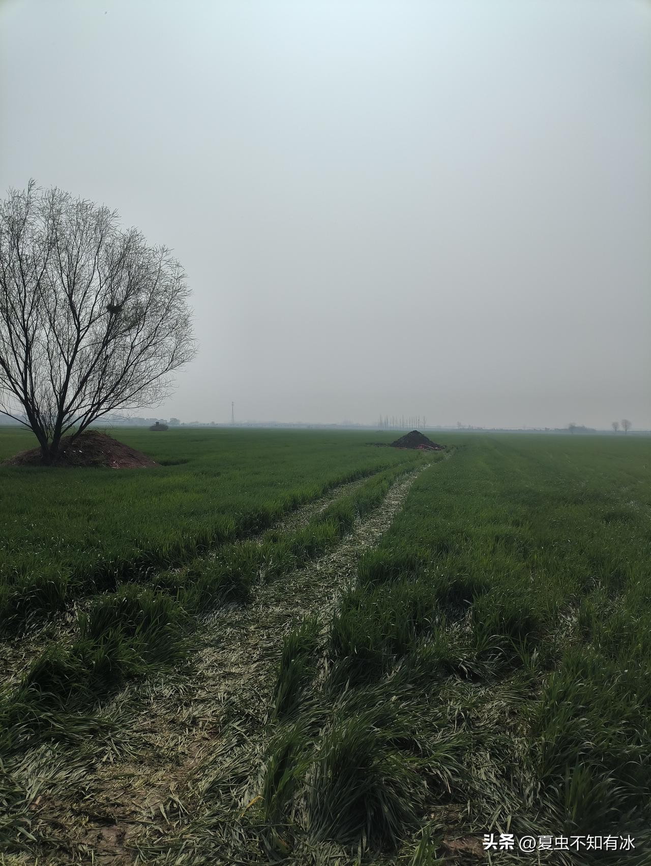 今天碰到一个中年男人，他唉声叹气地说：“唉！活着真没意思，心里一点儿都不痛快！”