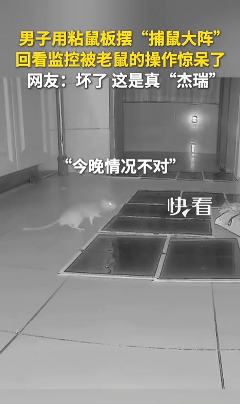 “看麻了！”8月4日报道，广东，一男子用粘鼠板摆了个捕鼠大阵，中间放上诱饵，一圈