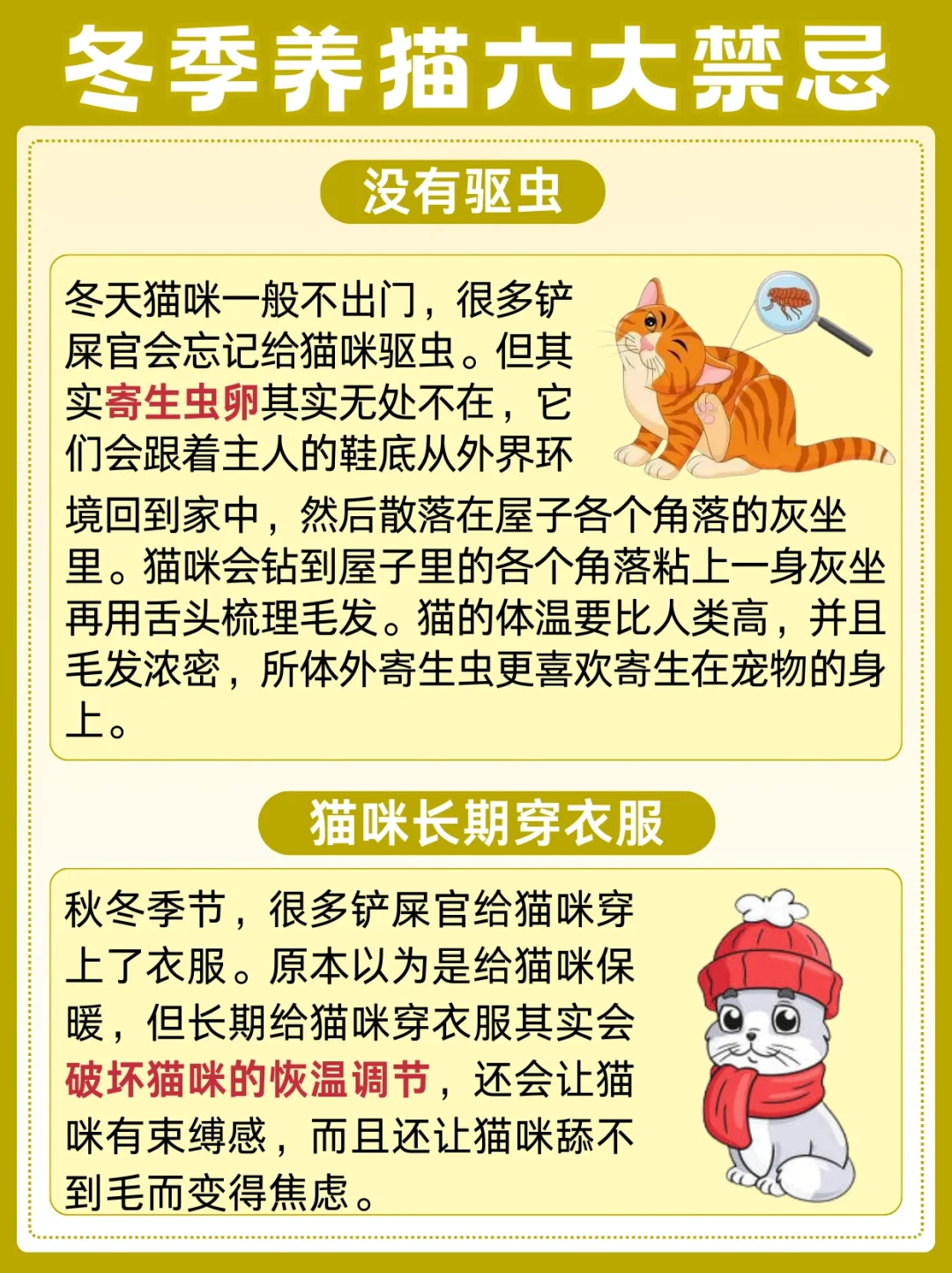 冬季养猫的六大禁忌，你知道吗？