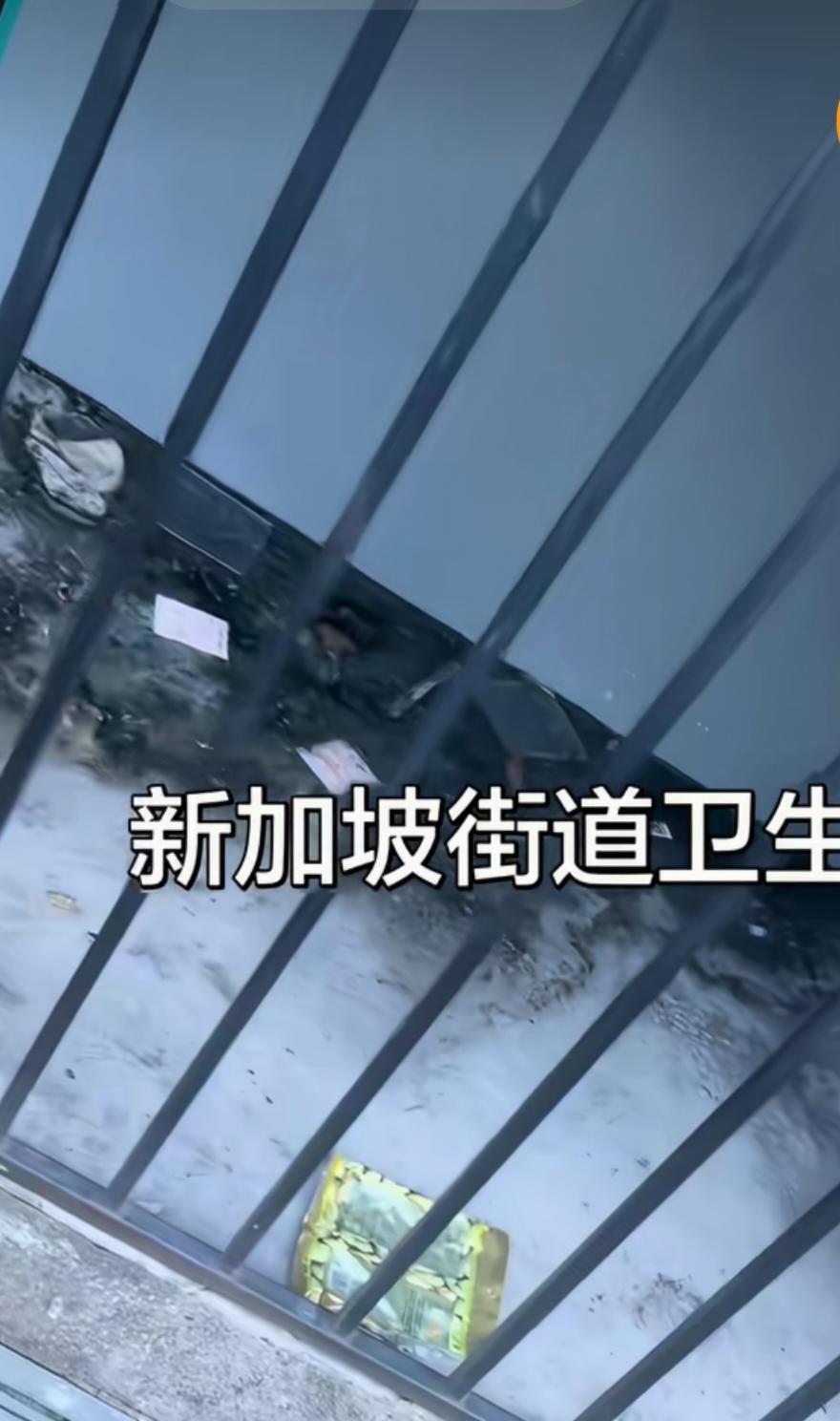 国内游客吐槽新加坡的卫生！
裸露在外面的楼梯间，他用恶臭两个字来形容。不远处的垃