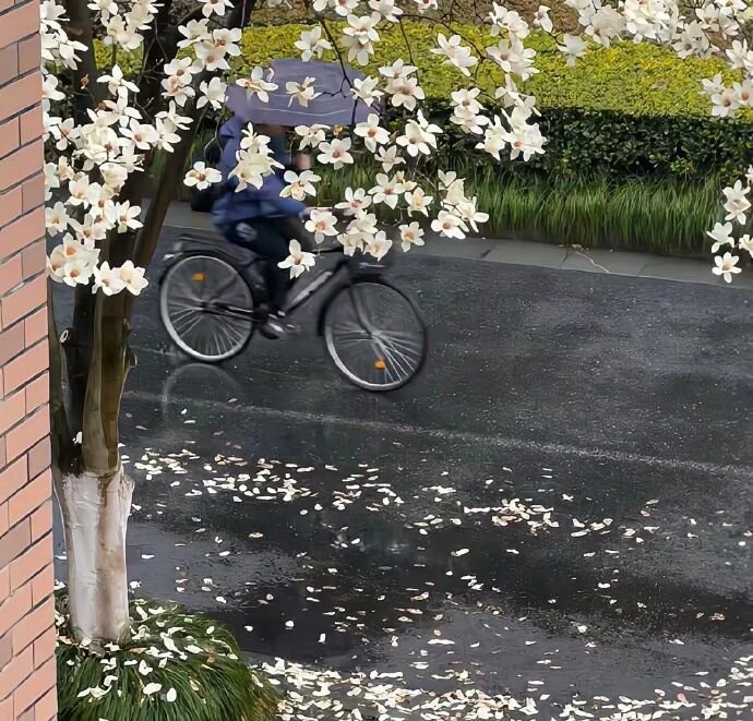 高质感朋友圈背景图 ​​​