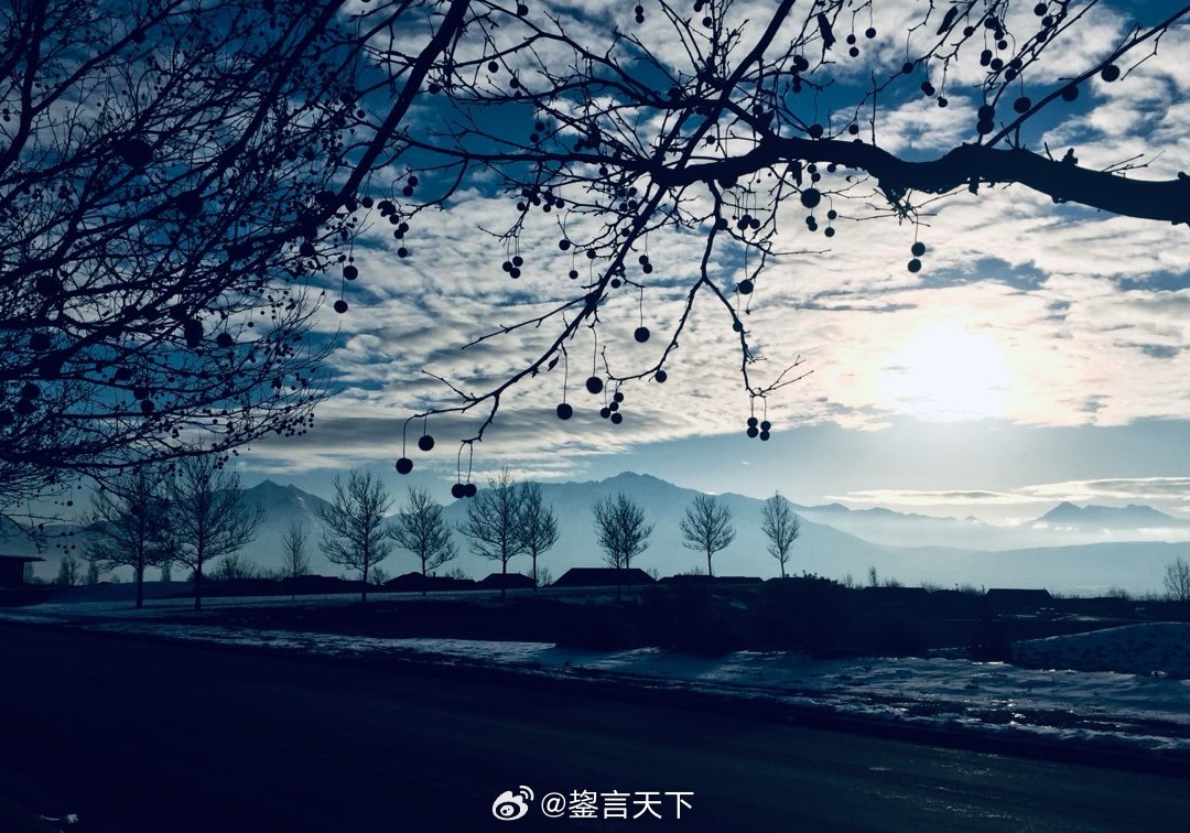 本博摄影 