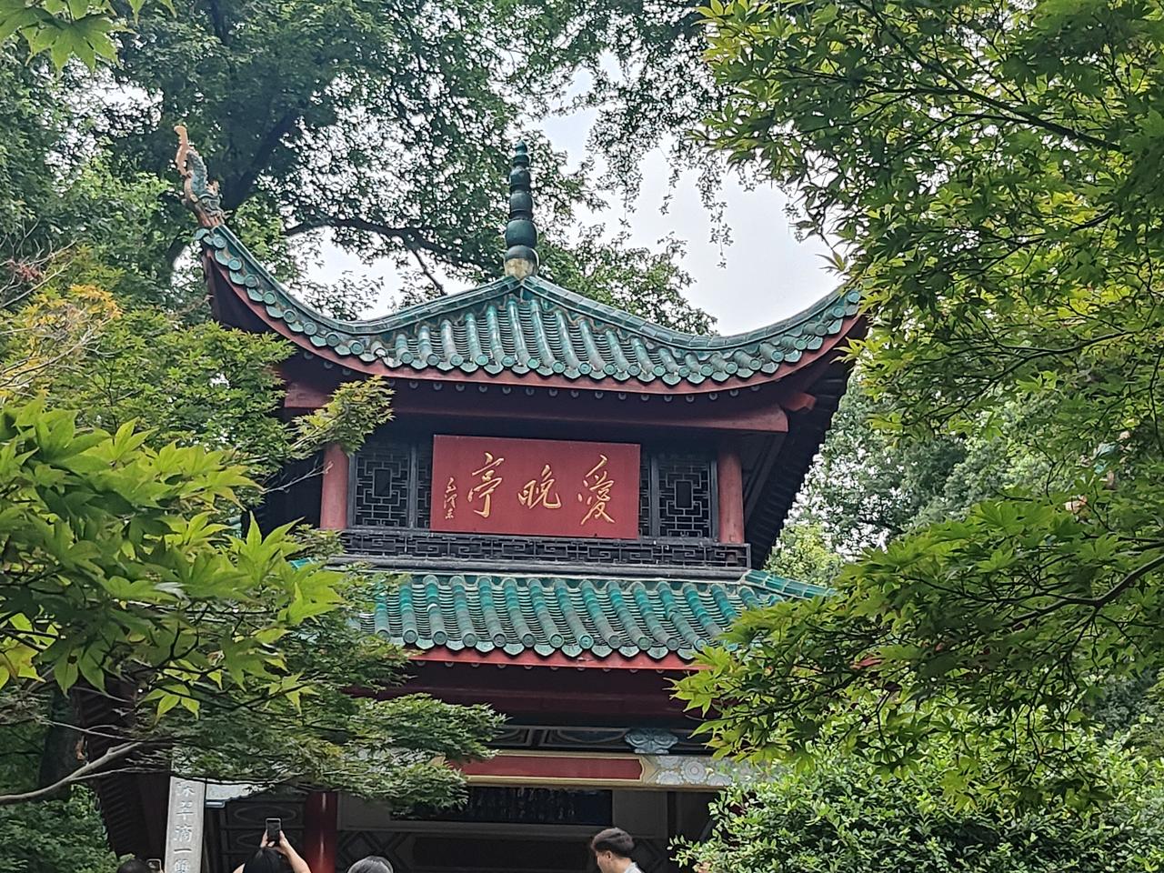 停车坐爱枫林晚，霜叶红于二月花。