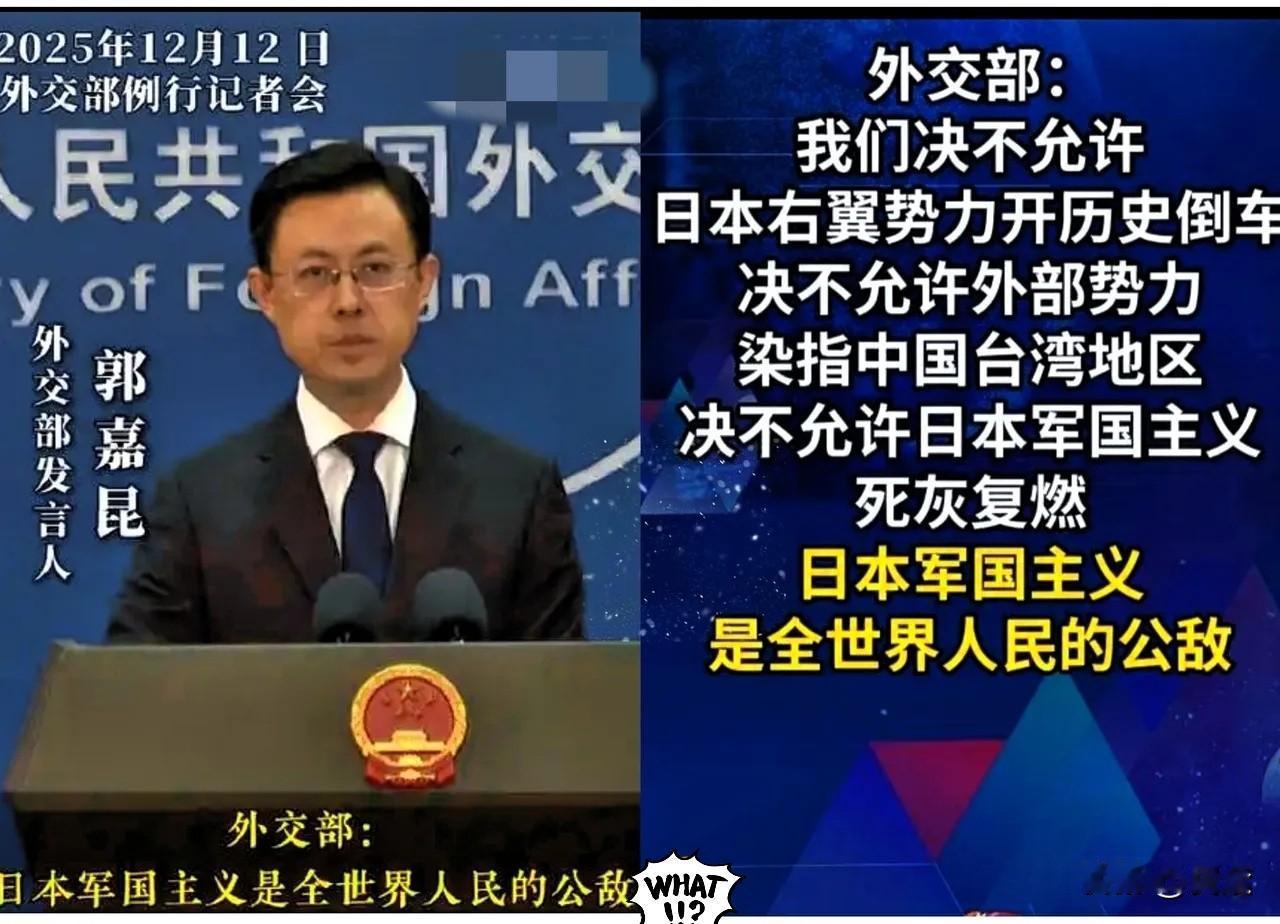 这下可算是把那层遮羞布彻底扯下来了！
外交部在公祭日的发言中，明确称某国为“全人