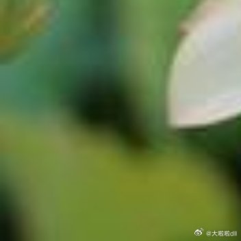 遥寄相思与日月，点燃祝福心灯🏮快乐随风送真情，描绘幸福图腾㊗️问候点点几多情，