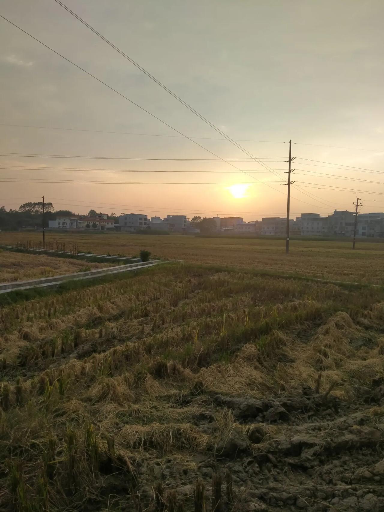 当夜幕低垂，太阳如同一位温和的长者，慢慢向西方的地平线沉没。它的光芒不再灼热，转