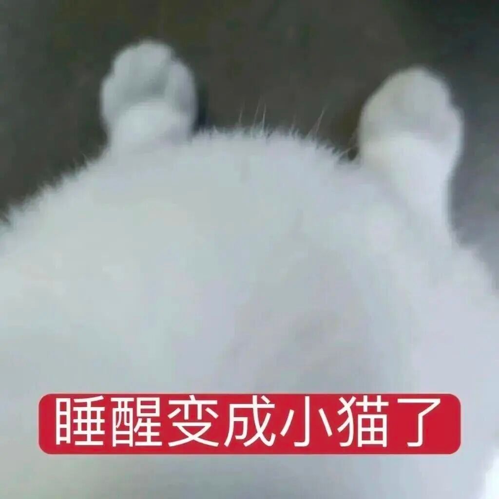 分享一下你最近做的奇怪的梦 