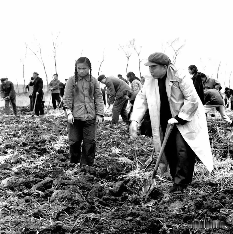 1955年，妹妹给铁道兵司令王震上将来信，讲：“哥哥，您当了大官，能不能给我安排