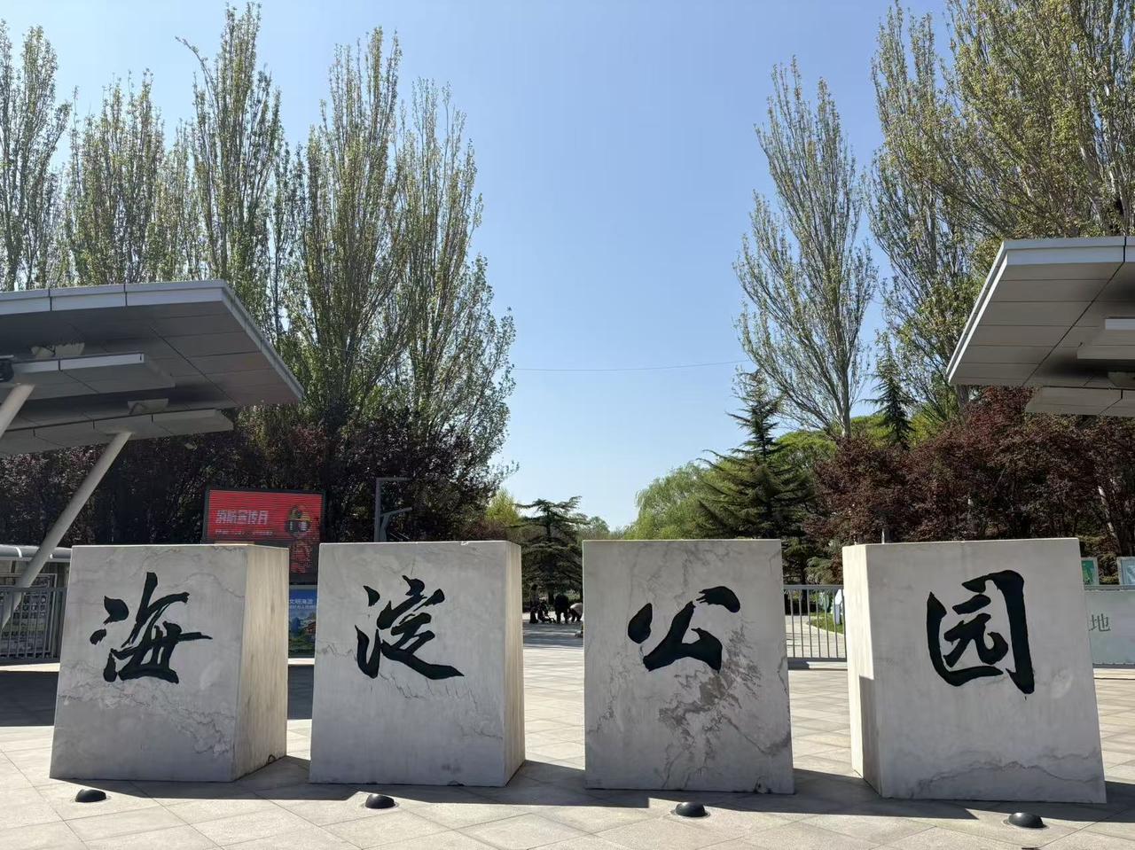 晒图笔记大赛海淀公园落地花成片