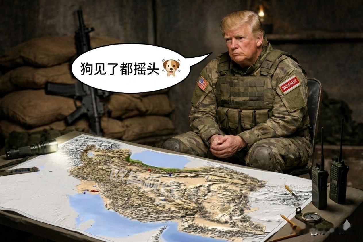 2003 年伊拉克战争，美国集结30 万大军，打了 8 年，伤亡近 5 万，花费