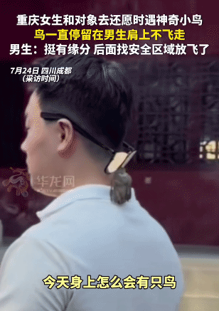 四川成都一对情侣前往寺庙还愿，坚持吃素七年的男子，在还愿过程中突然被一只小鸟主动