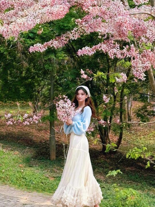 西双版纳樱花谷拍照攻略📸 手机也能秒出片
