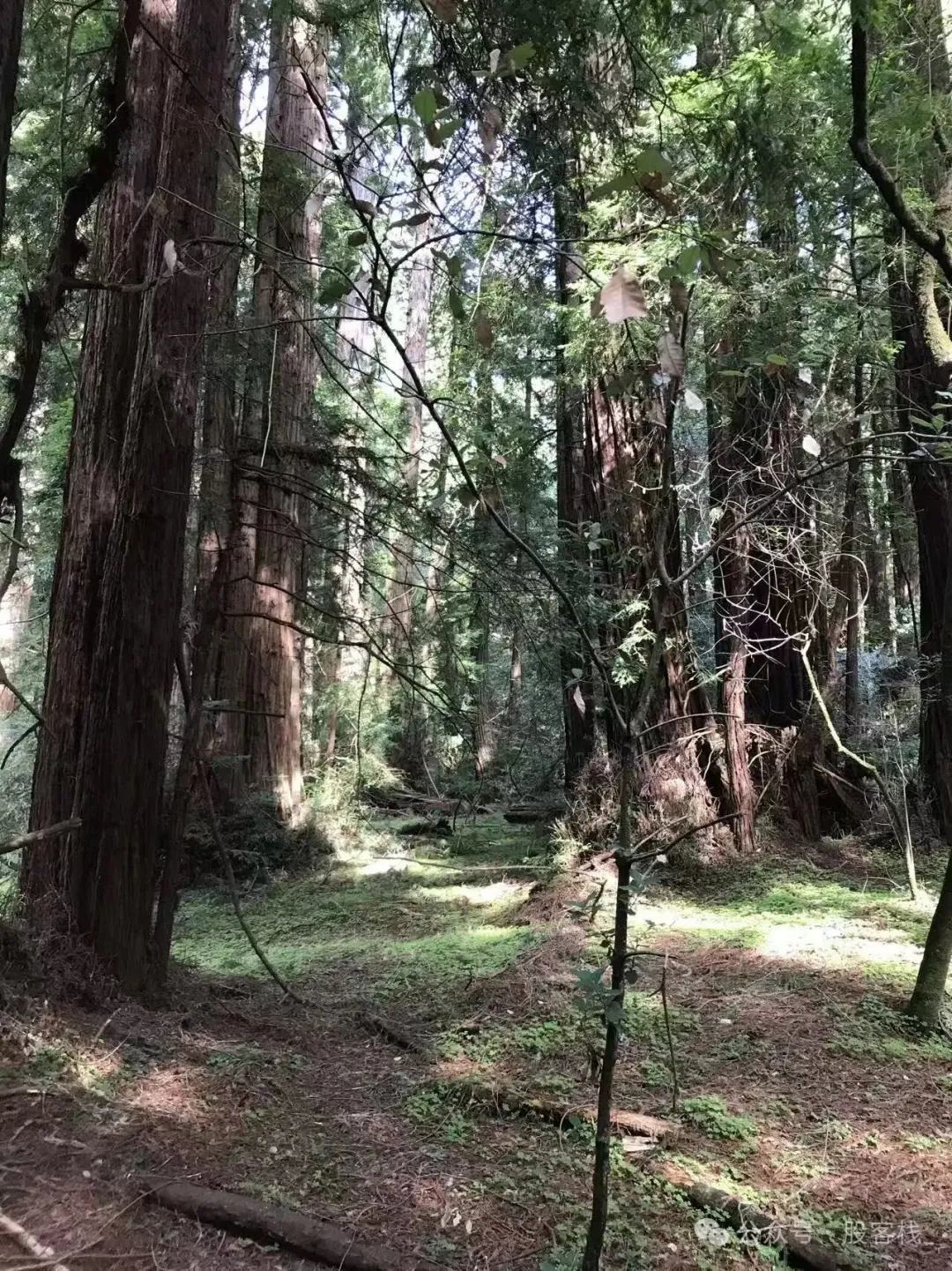 1 昨天的文章反响还可以，我就继续写写，顺便把游戏地址放到最前面，手机端体验的话