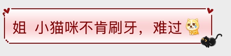 小狗咪不肯刷牙怎么办 