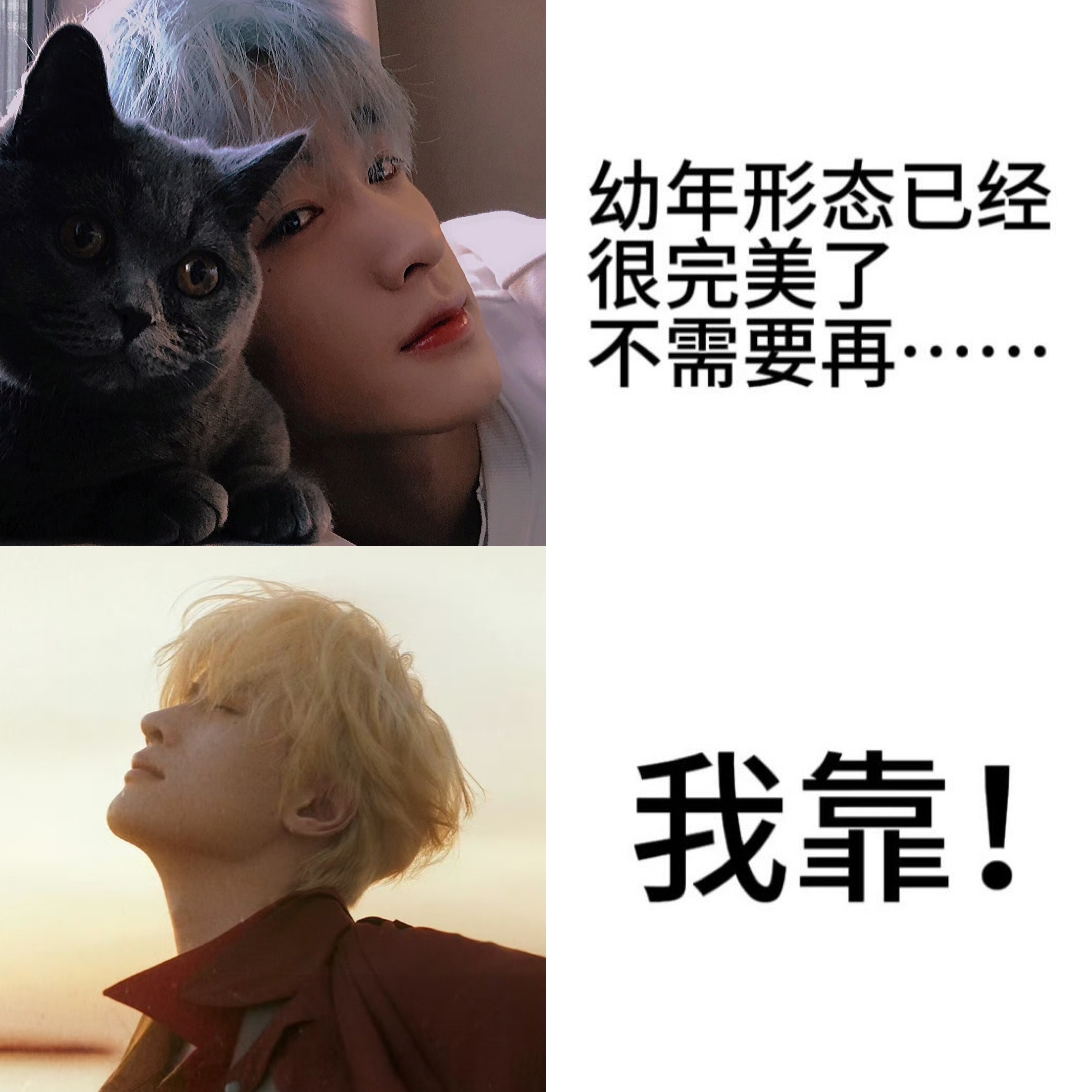 展丞 幼年形态已经很完美了不需要再… 