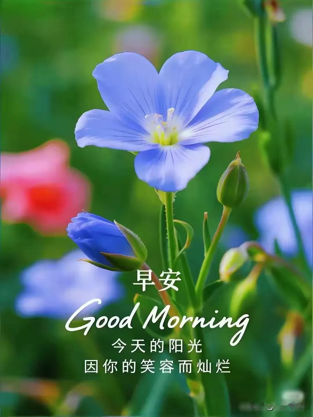 《临江仙·致友人》
 
来往风尘皆问候，
语温意暖绵长。
遥传祝福寄衷肠，
情深