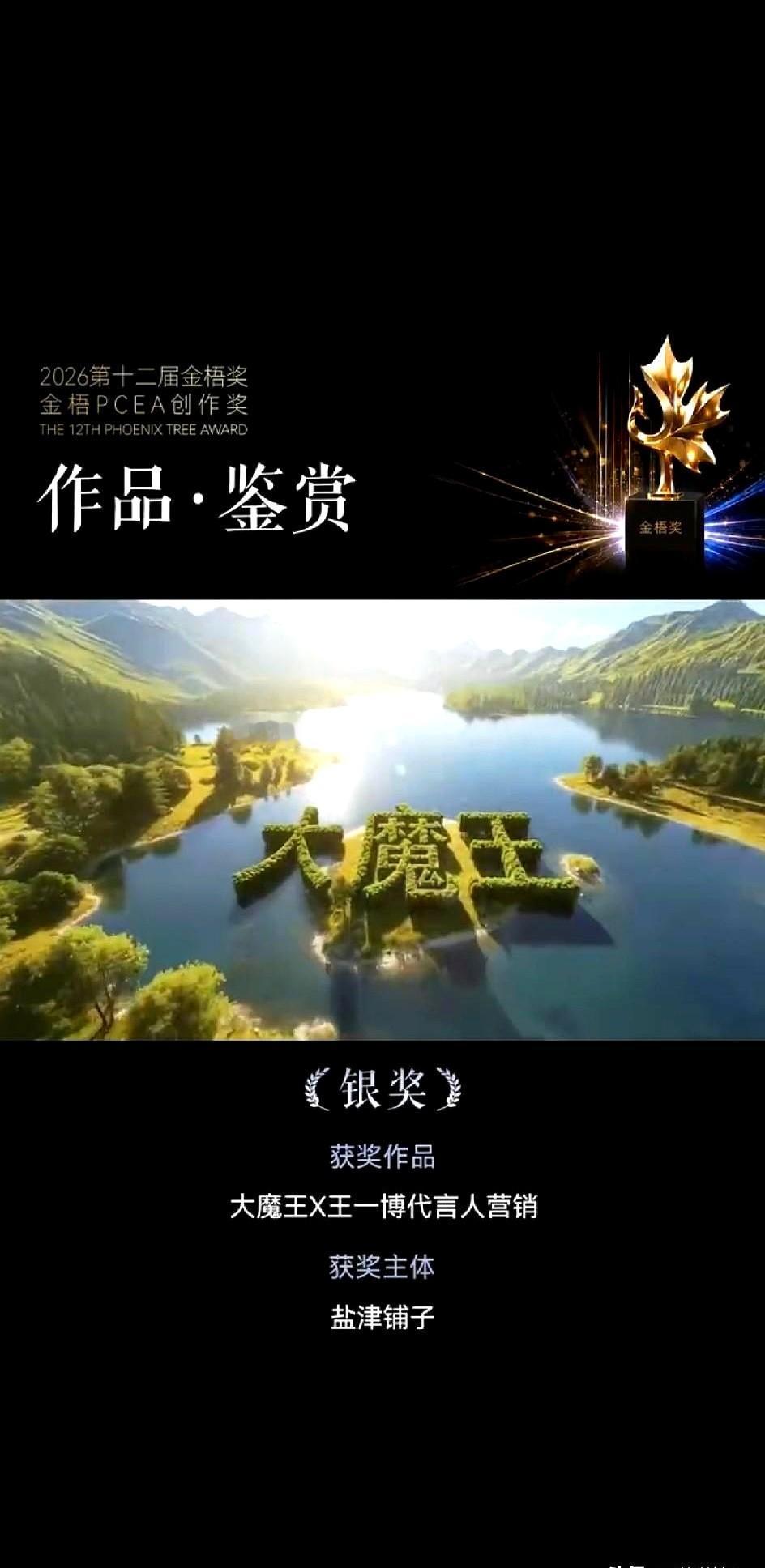 一个广告直接拿走金梧奖银奖，品牌方这次是真押对宝了。

大魔王品牌刚把第十二届金