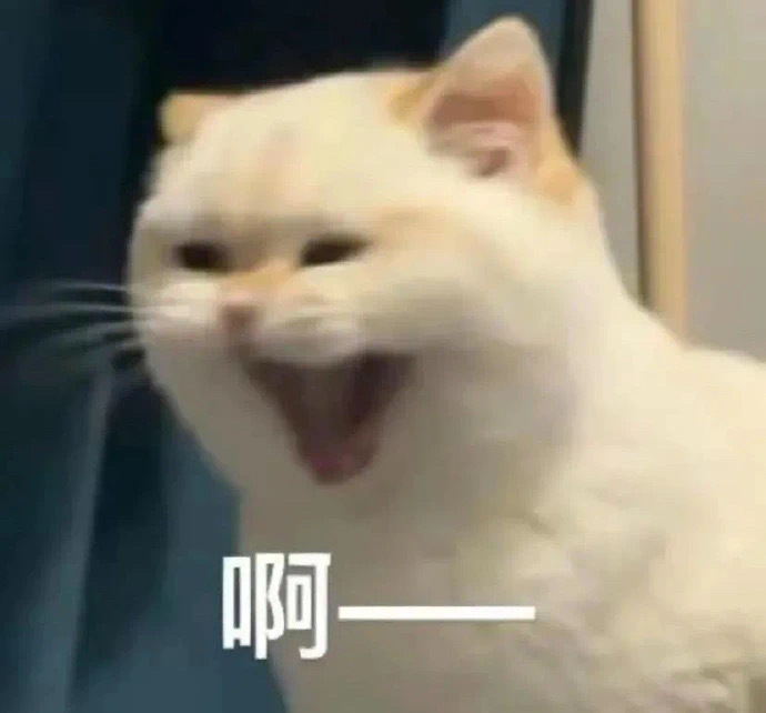 还没睡在干嘛！ ​​​