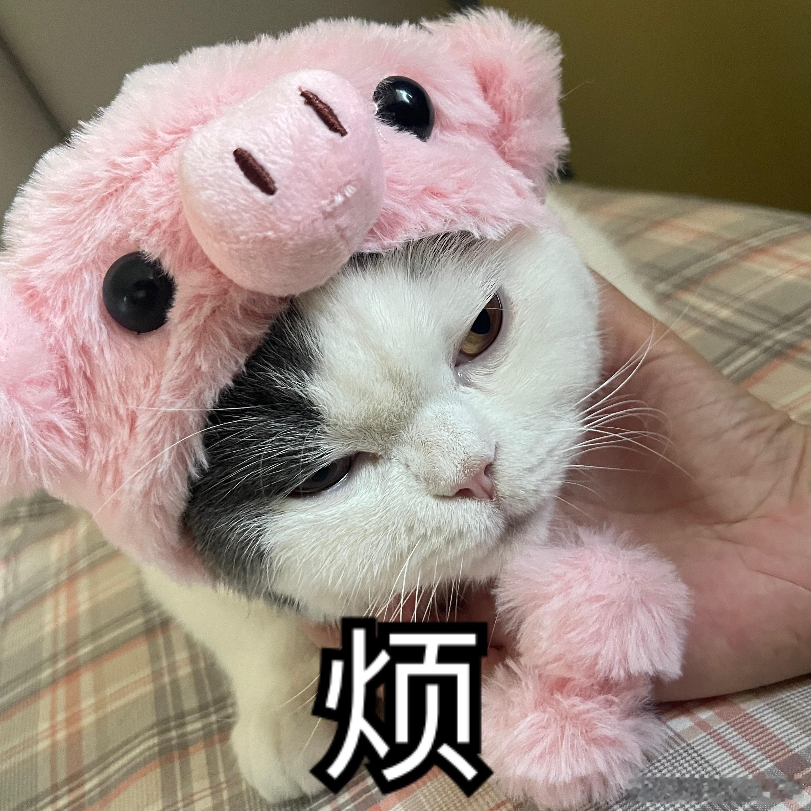 上次吐槽移动的套餐坑，这次帮我妈看她的联通套餐，竟然更坑。在毫不知情的情况下每月