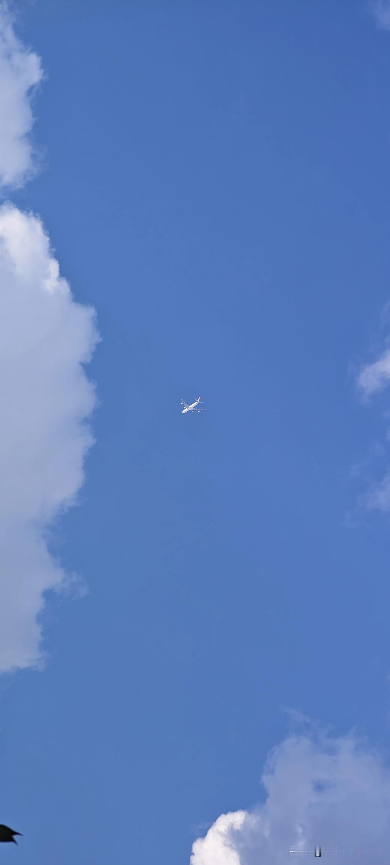 今天上海的空气质量优