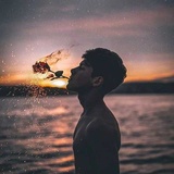 小三花最爱汽车