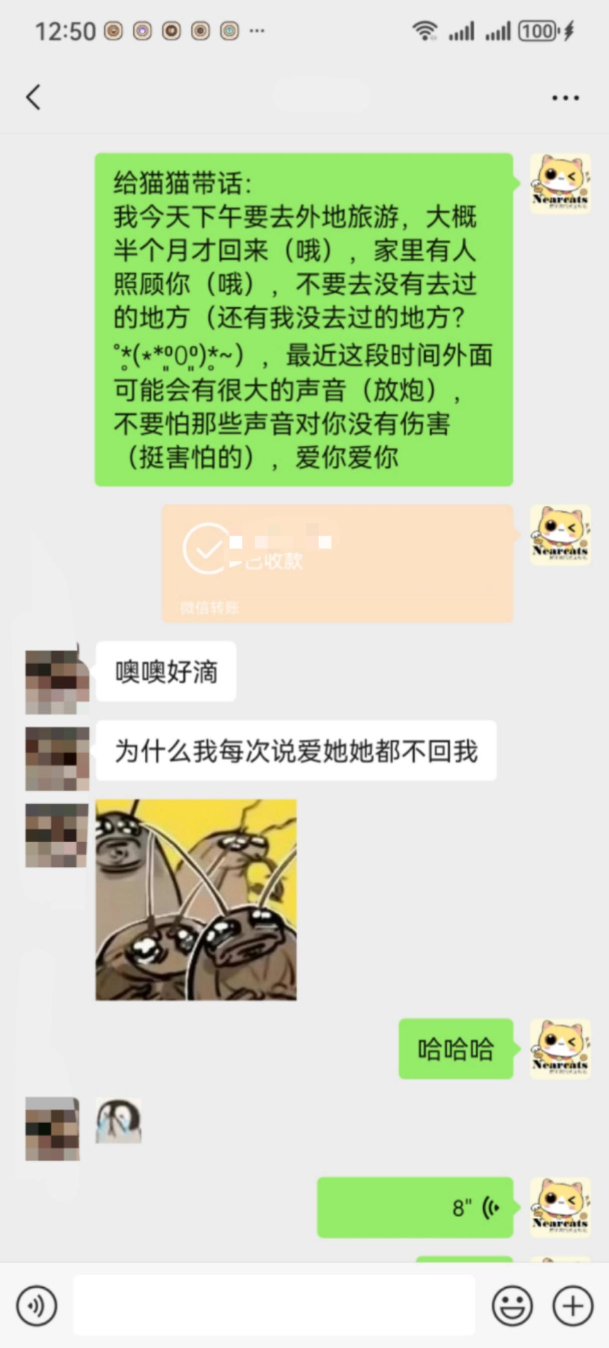 给留守猫猫带话。