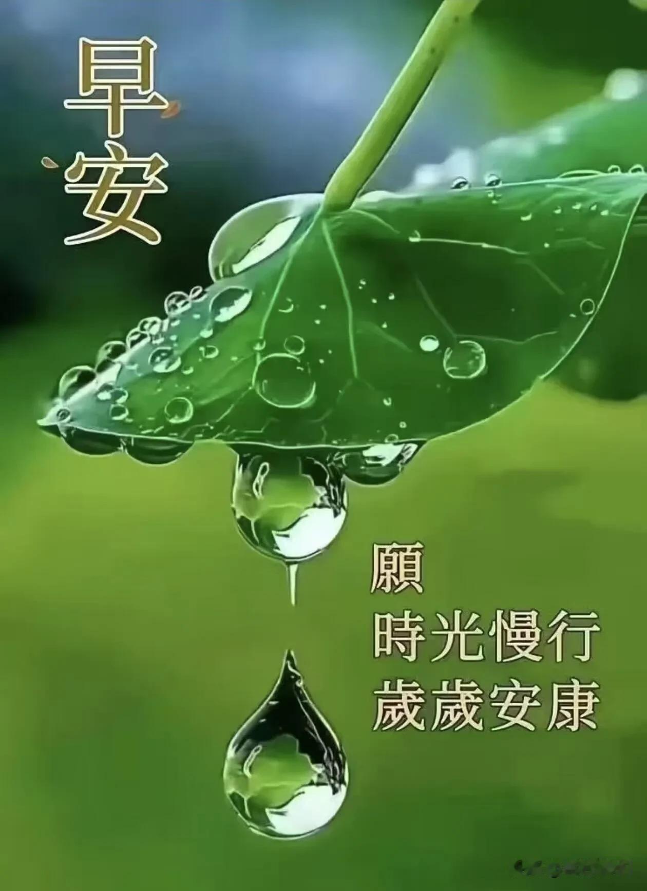 早安，新的一天，愿阳光洒满你的心间，万事顺心，平安喜乐。