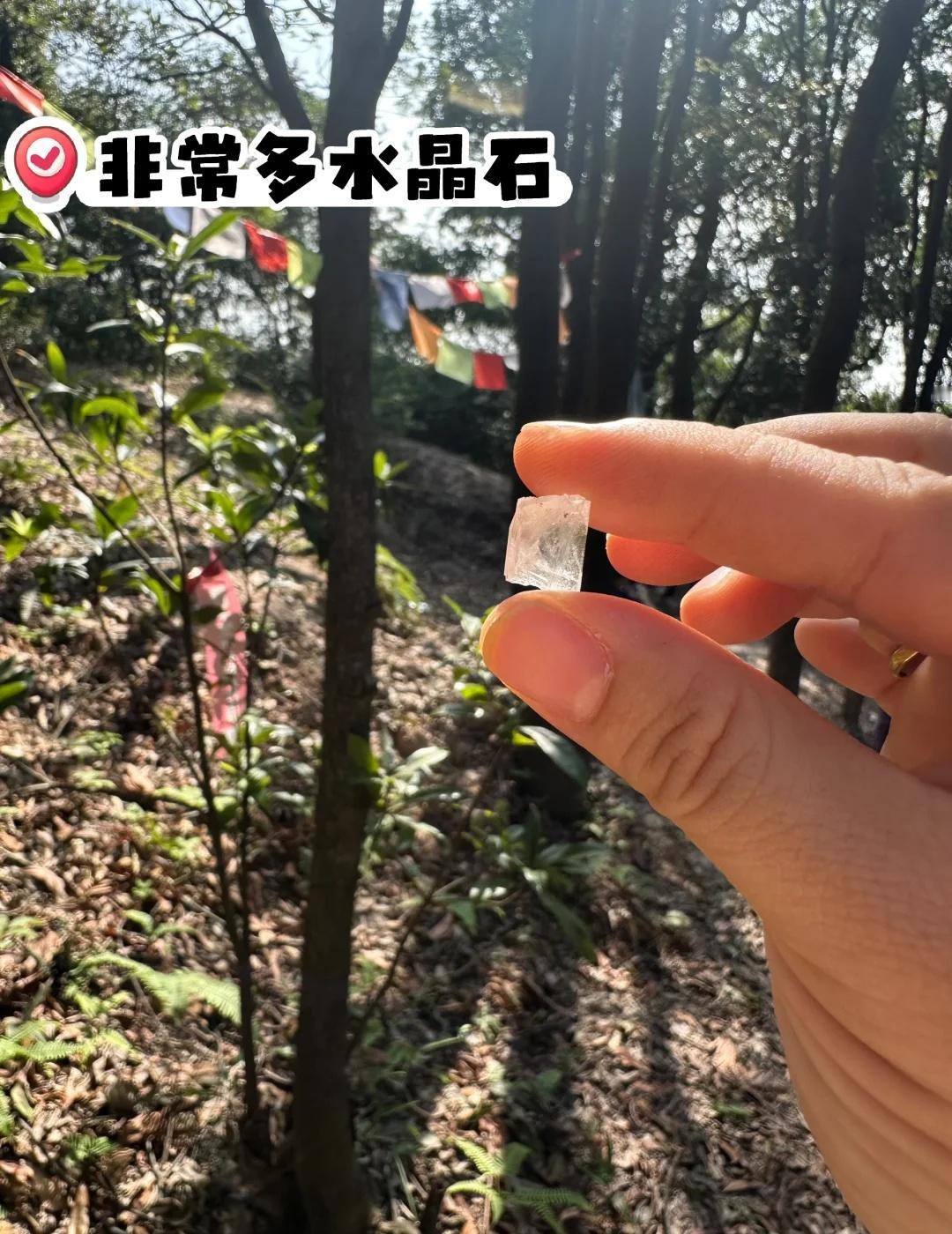 水晶石尖叫地-黄埔暹岗很多超多非常多水晶
从水西地铁站 D 口出来，沿着小道步行