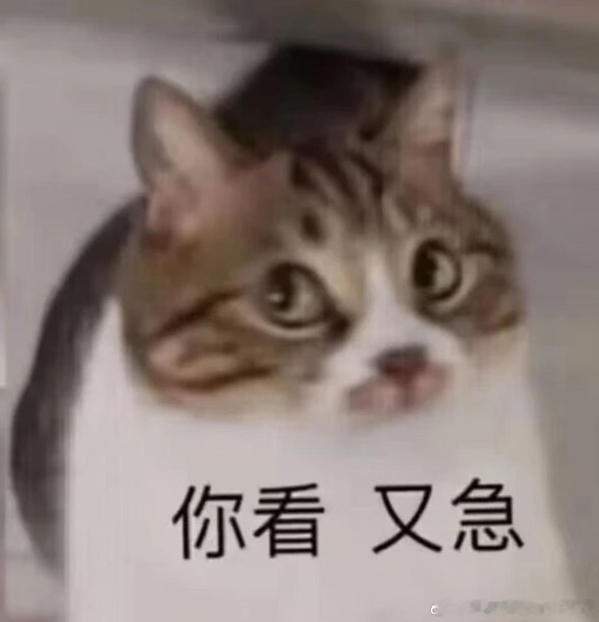 一句话科普  反复长痘跟幽门螺旋杆菌感染没有确切关系，痤疮主要与遗传、雄激素、饮