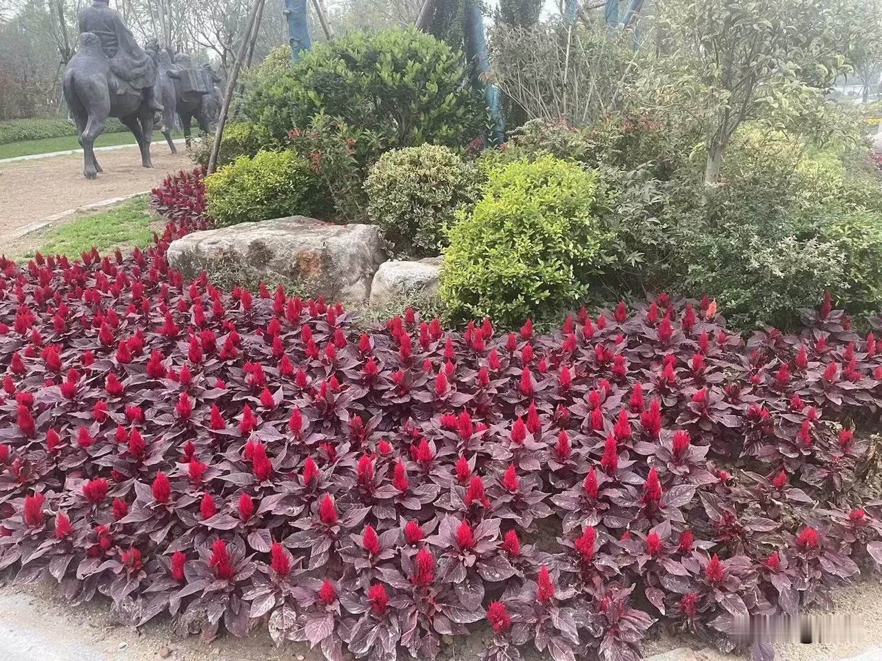 【阮郎归•风清露冷到秋分】
风清露冷到秋分，菊花把艳陈。
园中金桂把头伸，香飘巷