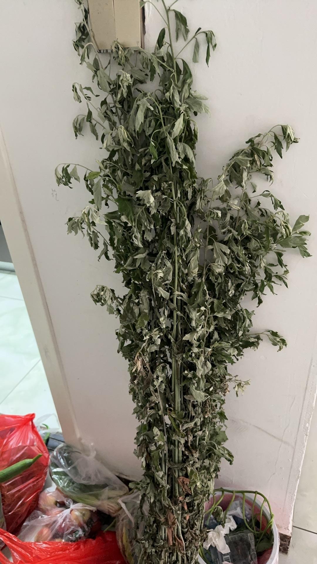 为什么两个人结婚后会争吵?结婚后鸡毛蒜皮的小事就多了，年轻夫妻承受不了…