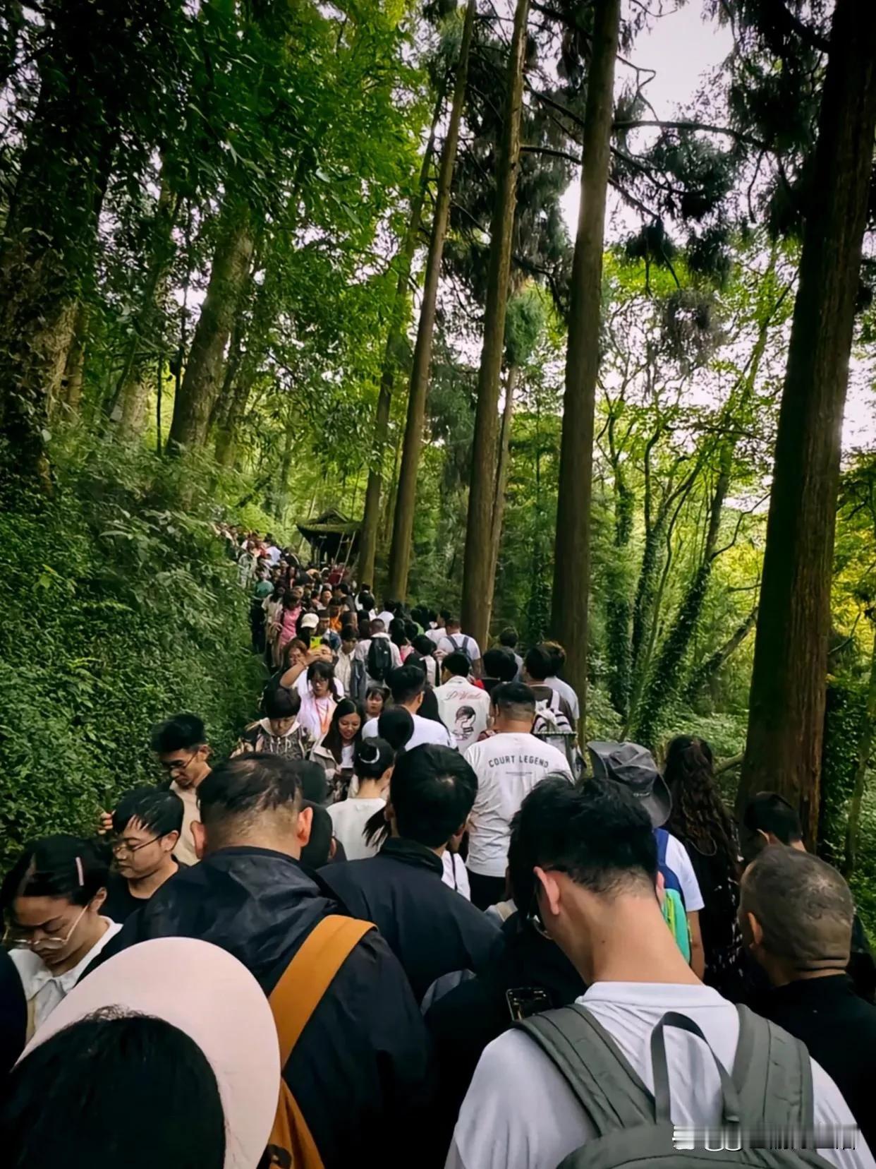 青城山去了“一亿人”？看到网友发的去青城山爬山的视频，不管是青城山前山，还是青城
